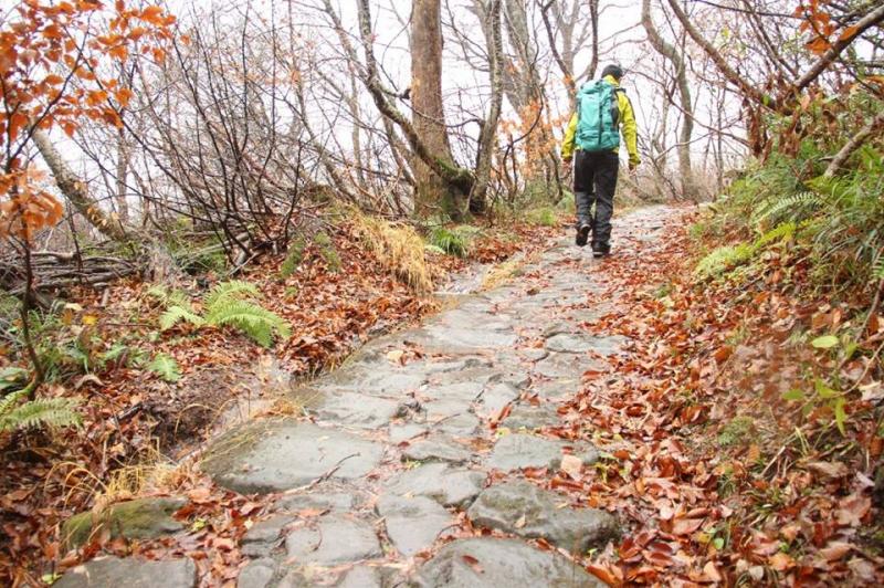 大山の石畳の古道道